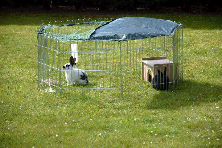 dobar Freilaufgehege